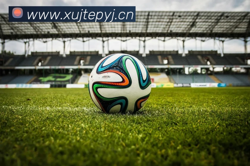 九游体育app官网首页平台生态图