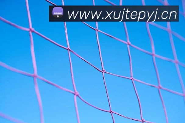 九游体育app官网首页全站App